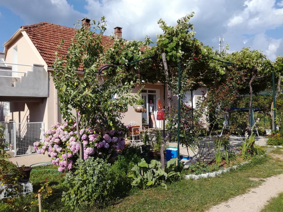 Frile Apartments Никшич Экстерьер фото