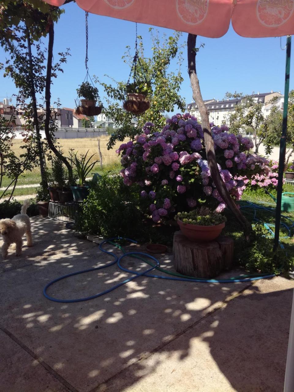 Frile Apartments Никшич Экстерьер фото